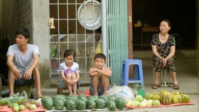 horizon loop market node