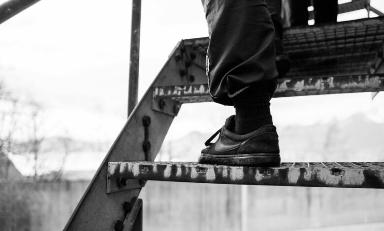 luminous brand ladder 693118212