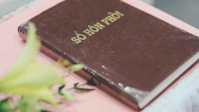 network registry feedback notes