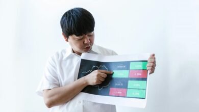 updated insights on 0212